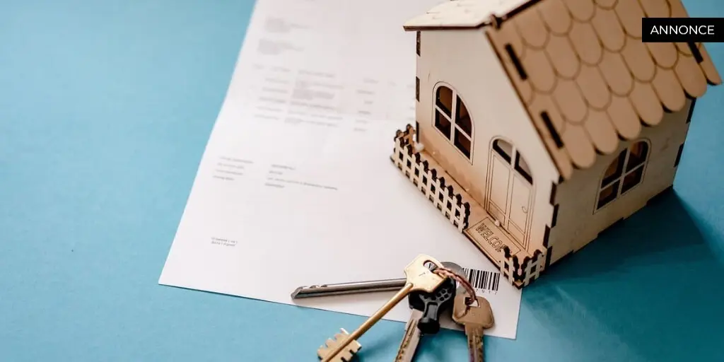 Alt du behøver at vide om hundeforsikring